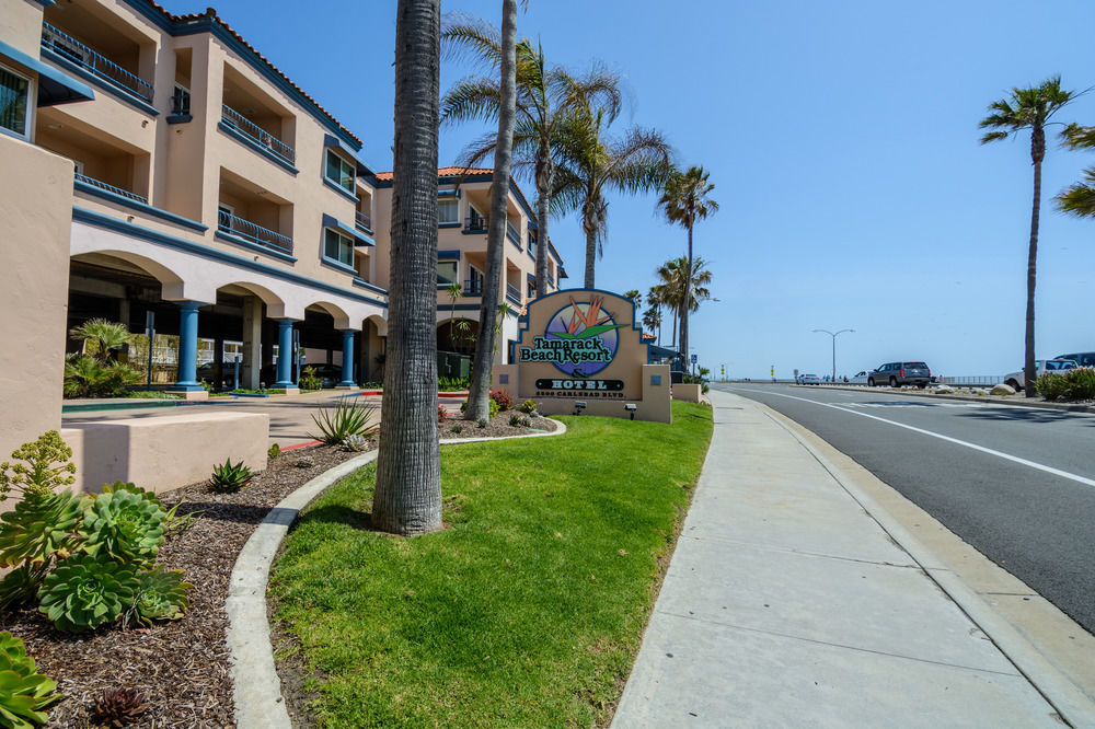 Tamarack Beach Hotel Carlsbad Buitenkant foto